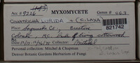 Image Associated With the Occurence